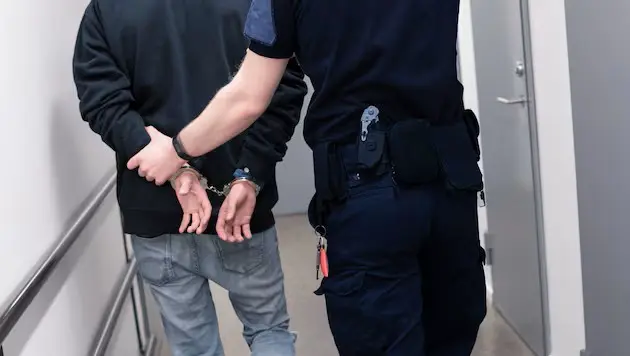 После 6 судимостей: Австрия выслала особо опасного афганского преступника на родину